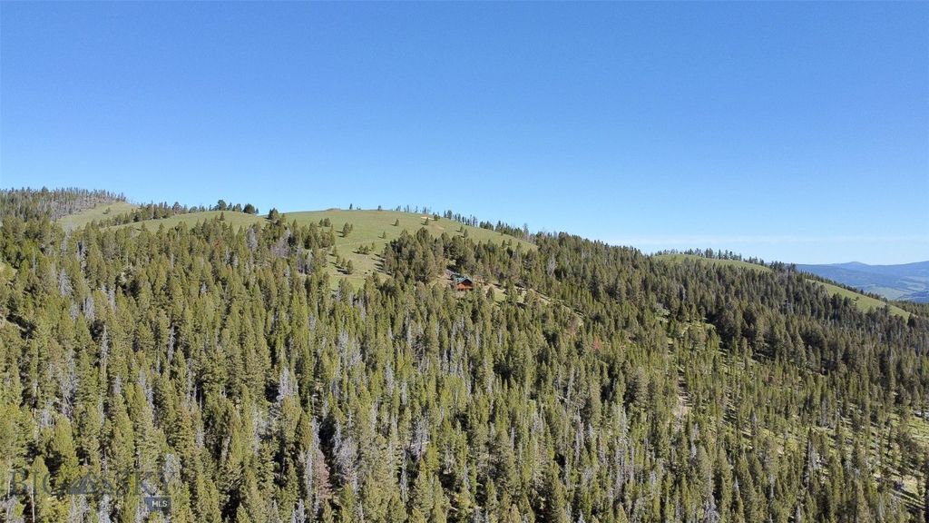 2988 Moose Gulch, Elliston, MT 59728 photo 83