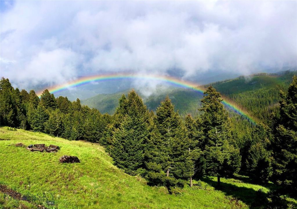 2988 Moose Gulch, Elliston, MT 59728 photo 89