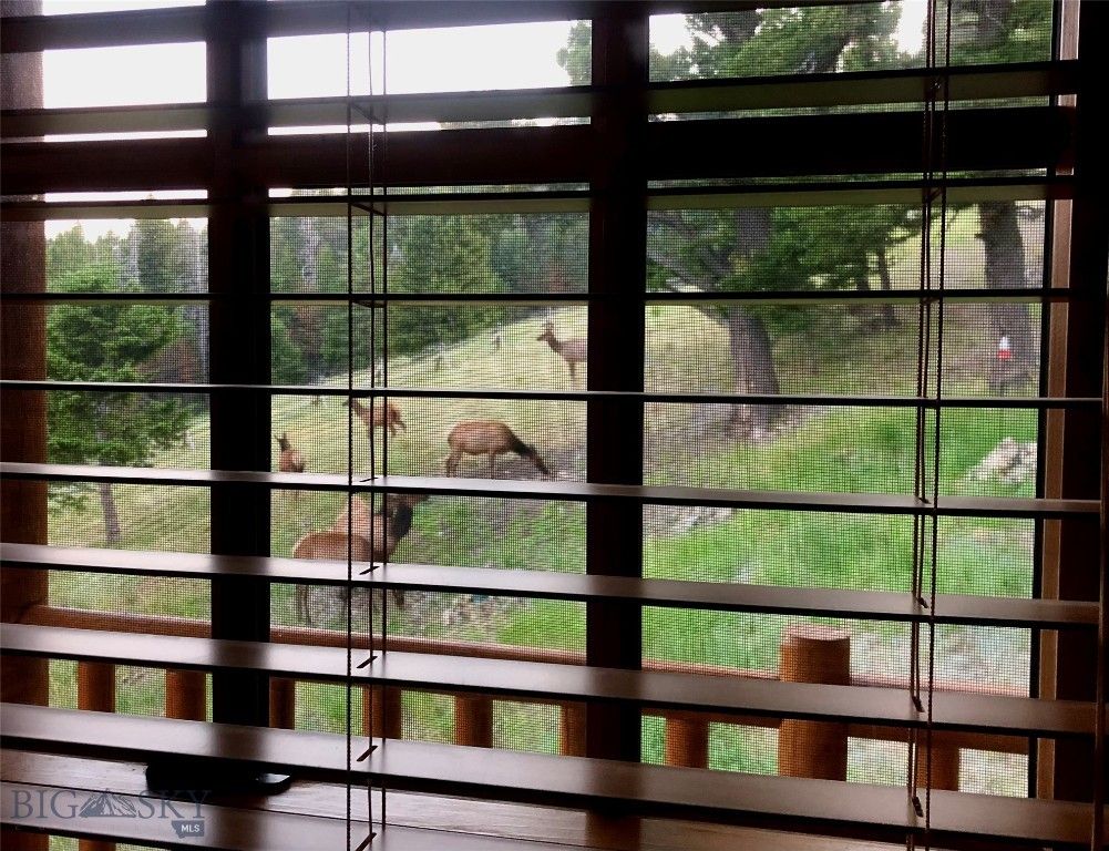 2988 Moose Gulch, Elliston, MT 59728 photo 91