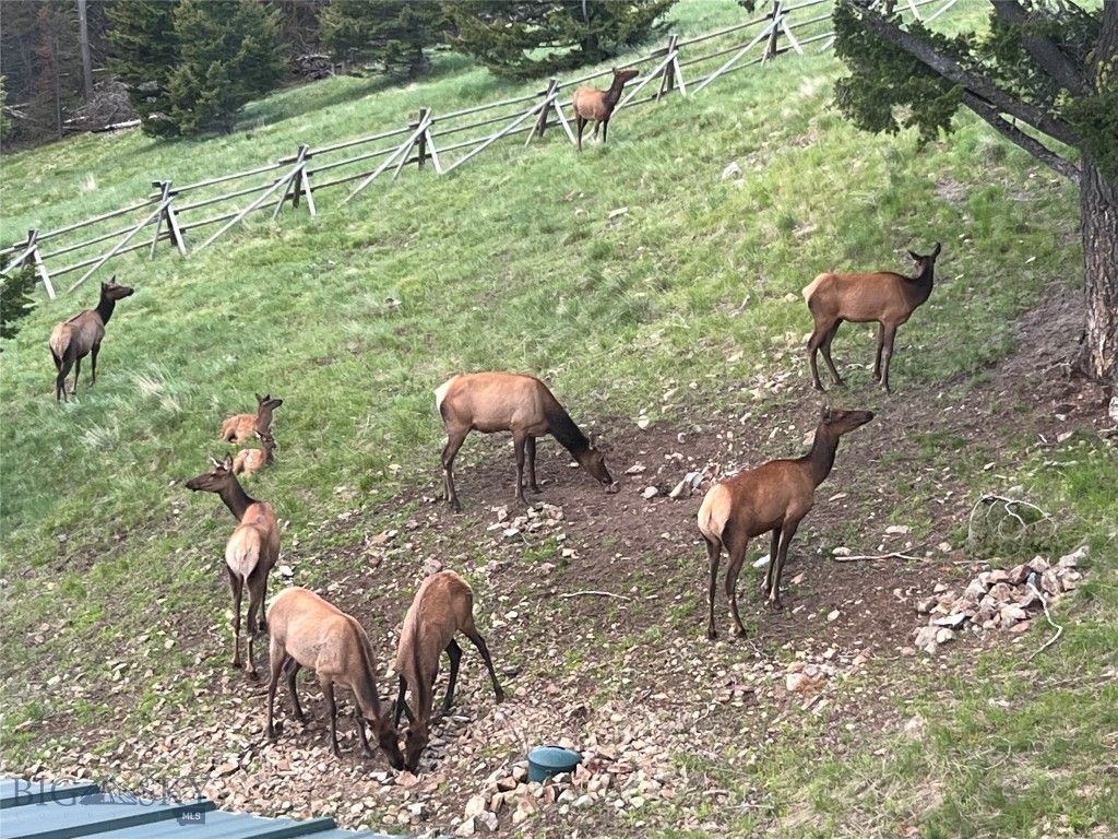 2988 Moose Gulch, Elliston, MT 59728 photo 92