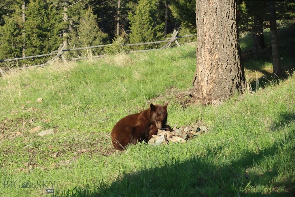 2988 Moose Gulch, Elliston, MT 59728 photo 96