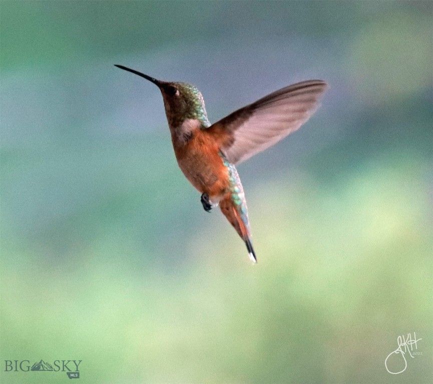 2988 Moose Gulch, Elliston, MT 59728 photo 99