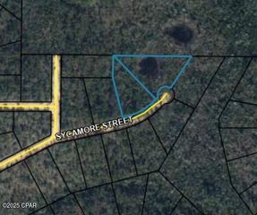 0 Sycamore Street, Alford, FL 32420