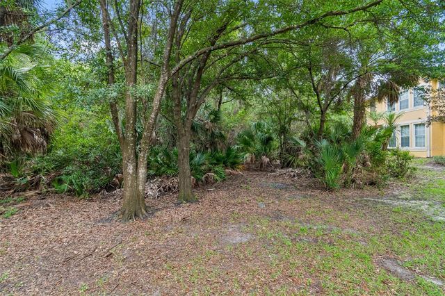 6734 BREEZY PALM DRIVE, Riverview, FL 33578
