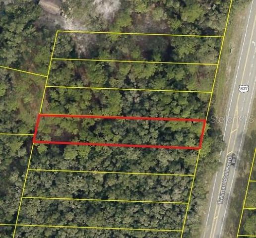 0 TREIMAN BOULEVARD, Webster, FL 33597