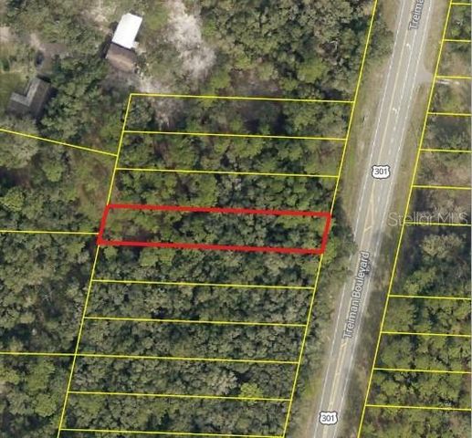 0 TREIMAN BOULEVARD, Webster, FL 33597
