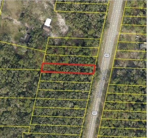 0 TREIMAN BOULEVARD, Webster, FL 33597