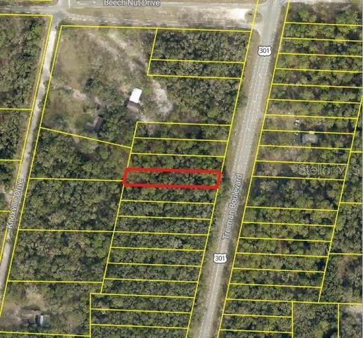 0 TREIMAN BOULEVARD, Webster, FL 33597