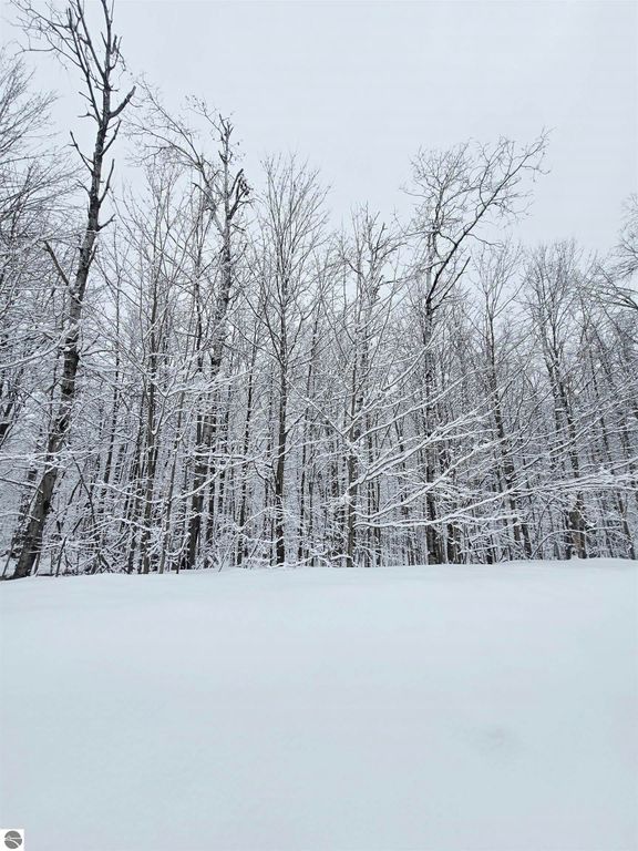 Image 1 of property listing at 394 Pinedale Drive, Elmira, MI 49730