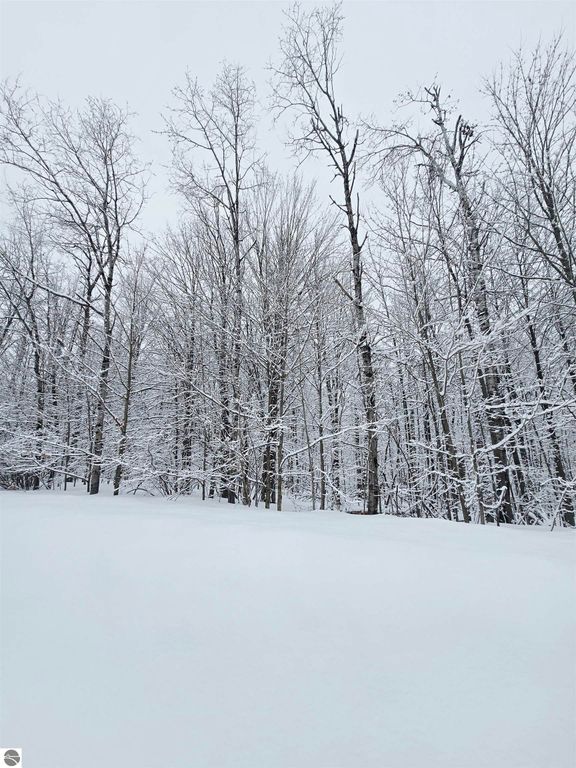 Image 2 of property listing at 394 Pinedale Drive, Elmira, MI 49730