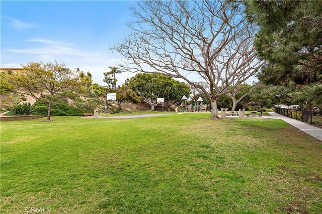 33142 Sea Lion, Dana Point, CA 92629