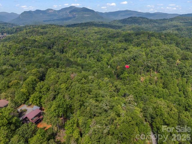 126 Swans Way W, Lake Lure, NC 28746