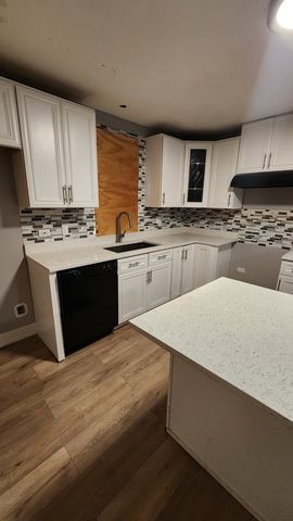 8317 S Aberdeen Street, Chicago, IL 60620