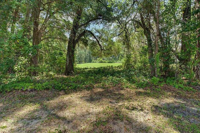 9009 SW 194TH COURT, Dunnellon, FL 34432