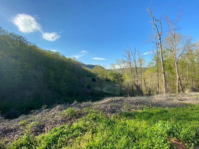 587 Kestrel Lane, Chattanooga, TN 37419