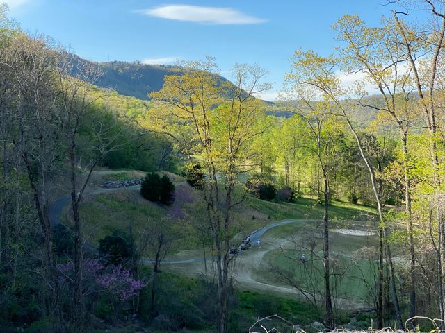 587 Kestrel Lane, Chattanooga, TN 37419