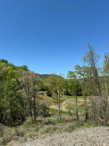 587 Kestrel Lane, Chattanooga, TN 37419