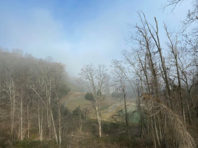 587 Kestrel Lane, Chattanooga, TN 37419