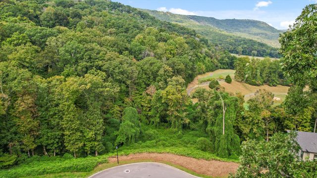 587 Kestrel Lane, Chattanooga, TN 37419