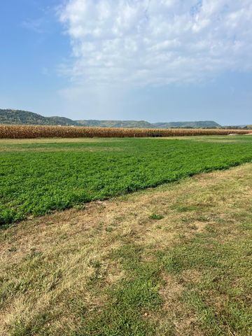 1612 River Drive S, Wabasha, MN 55981