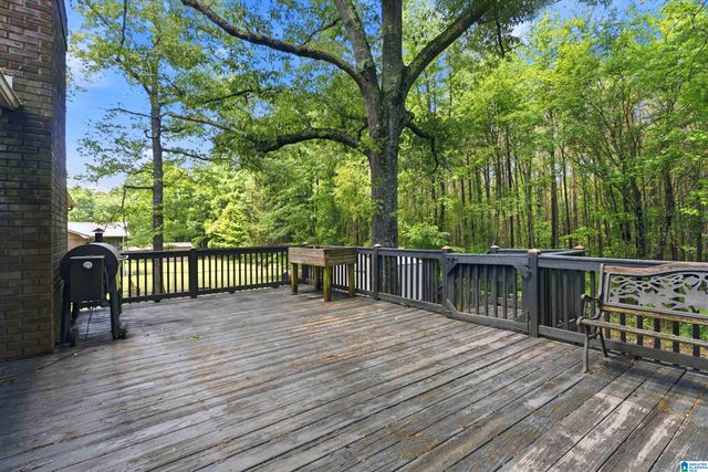 5509 MCCALEB DRIVE, Dora, AL 35062