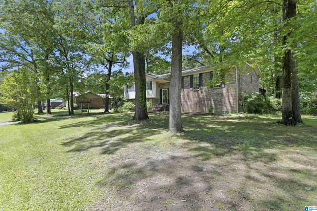 5509 MCCALEB DRIVE, Dora, AL 35062