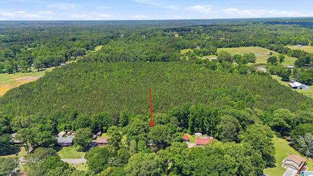 5509 MCCALEB DRIVE, Dora, AL 35062