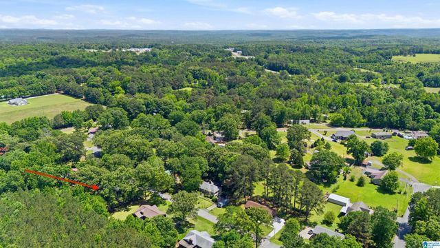 5509 MCCALEB DRIVE, Dora, AL 35062