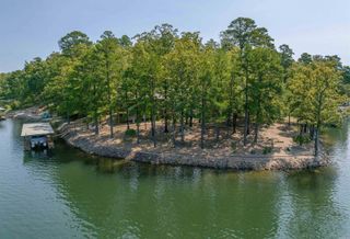 10 Delavega Circle, Hot Springs Village, AR 71909