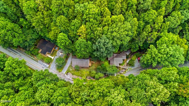 250 Cartertown Road, Gatlinburg, TN 37738