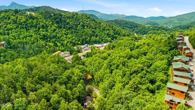 250 Cartertown Road, Gatlinburg, TN 37738