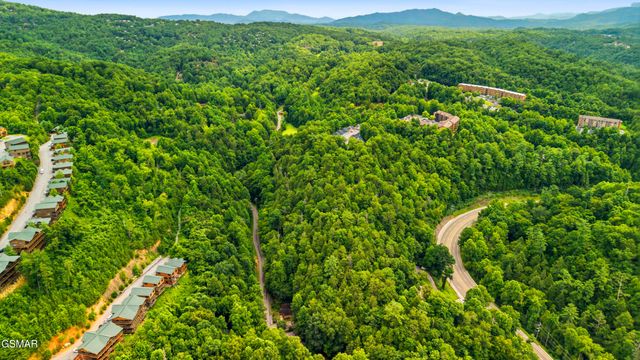 250 Cartertown Road, Gatlinburg, TN 37738