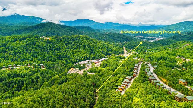 250 Cartertown Road, Gatlinburg, TN 37738