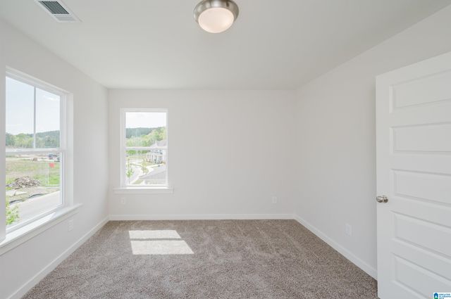 252 RIDGE BOULEVARD, Alabaster, AL 35007