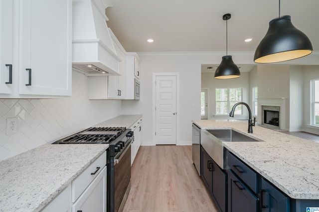 252 RIDGE BOULEVARD, Alabaster, AL 35007