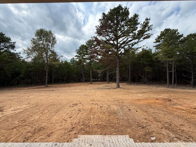 5 Silver Fox Cove, Greenbrier, AR 72058