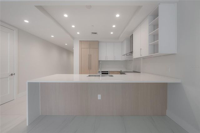 275 1ST AVENUE S 1504, St Petersburg, FL 33701