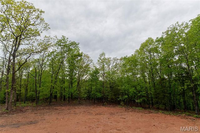 1719 Rue Orleans, Bonne Terre, MO 63628