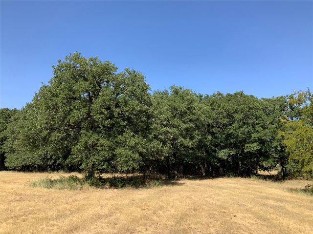 280 Wild Horse Road, Granbury, TX 76048