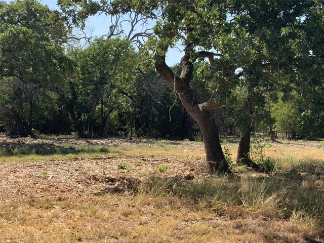280 Wild Horse Road, Granbury, TX 76048
