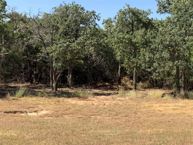280 Wild Horse Road, Granbury, TX 76048