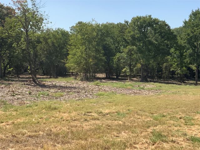 280 Wild Horse Road, Granbury, TX 76048