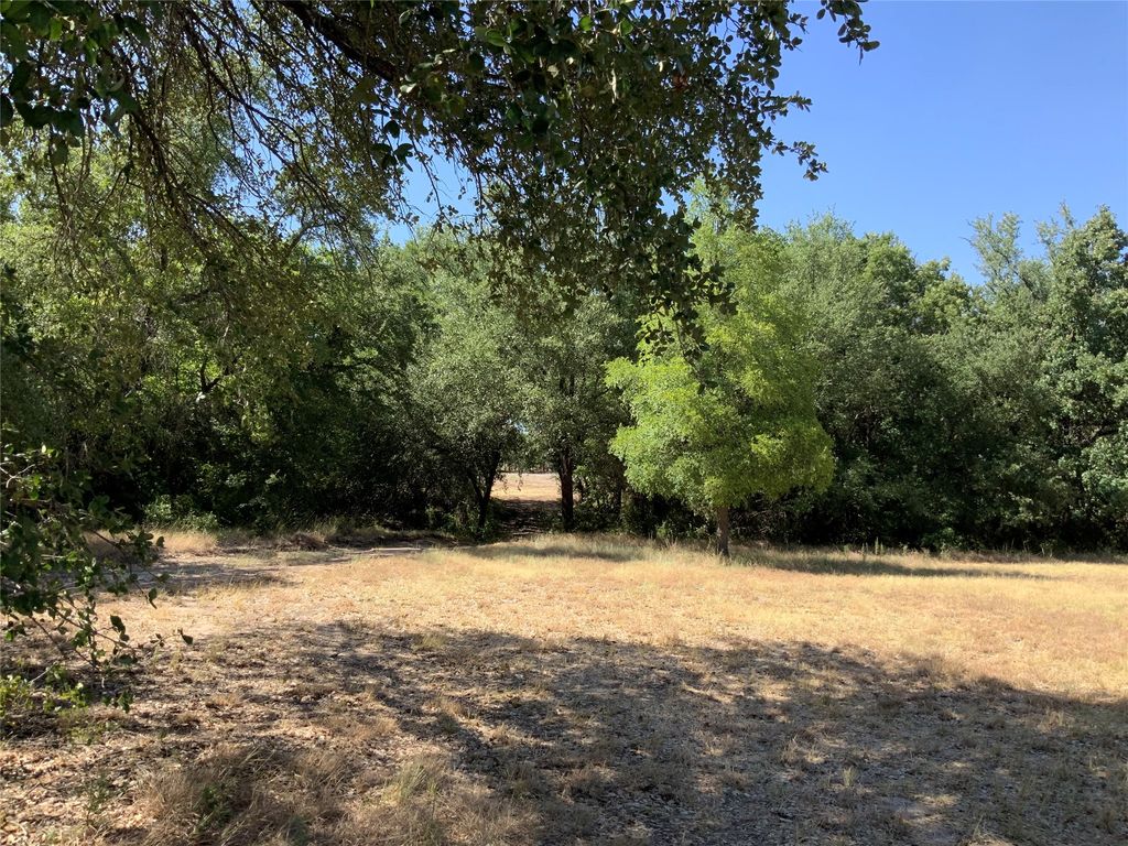 280 Wild Horse Road, Granbury, TX 76048 — photo 4