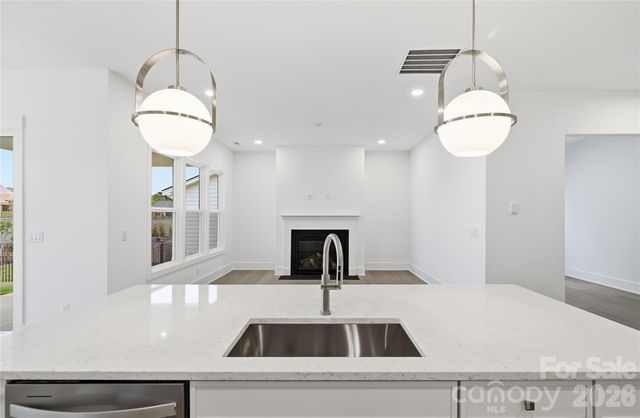 3671 Blue Pine Drive, Indian Land, SC 29707