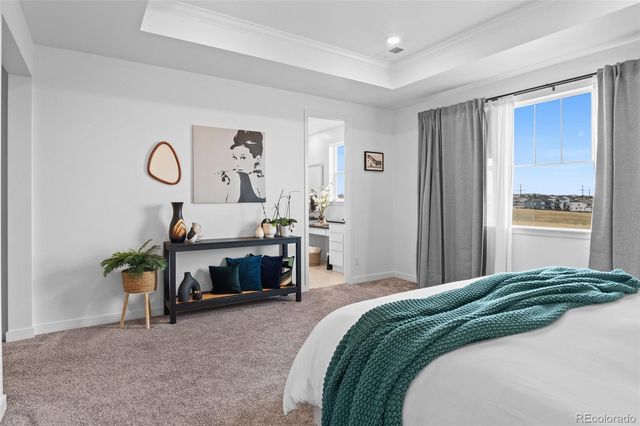 2917 Furthermore Lane, Castle Rock, CO 80108