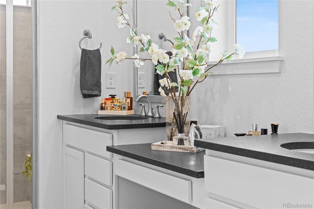 2917 Furthermore Lane, Castle Rock, CO 80108