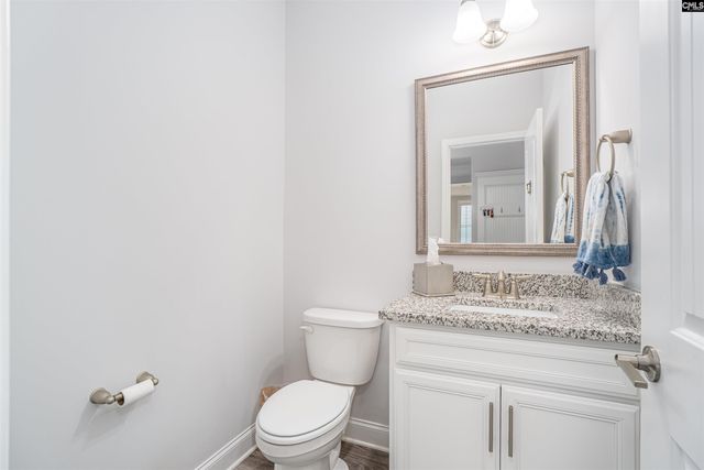 248 Laurelbrook Drive, Chapin, SC 29036