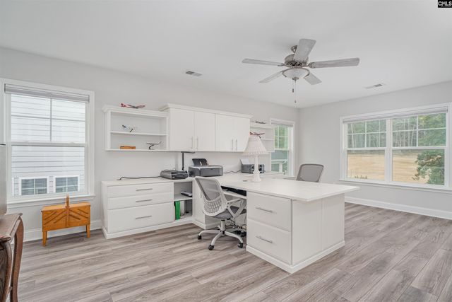 248 Laurelbrook Drive, Chapin, SC 29036