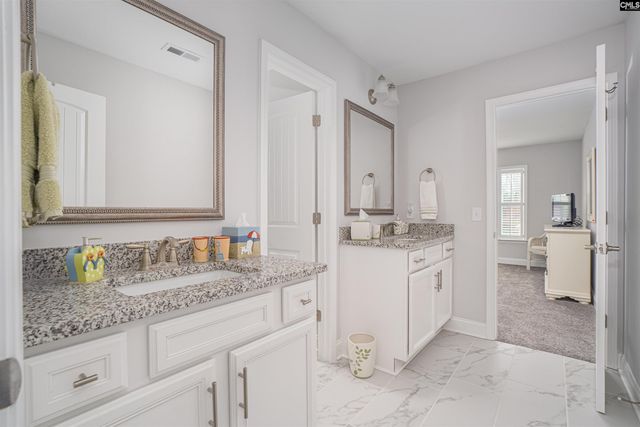 248 Laurelbrook Drive, Chapin, SC 29036