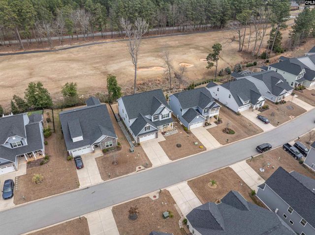 248 Laurelbrook Drive, Chapin, SC 29036
